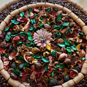 COFFEE SPRING