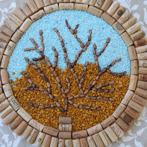 CORK OAK