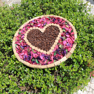 PINK HEARTH